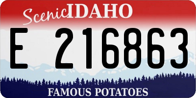ID license plate E216863