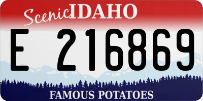 ID license plate E216869