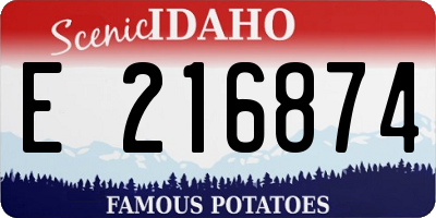 ID license plate E216874