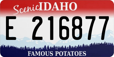 ID license plate E216877