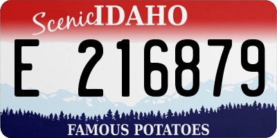 ID license plate E216879