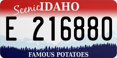 ID license plate E216880