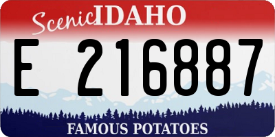 ID license plate E216887