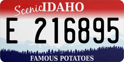 ID license plate E216895