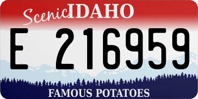 ID license plate E216959