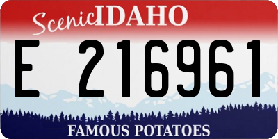 ID license plate E216961