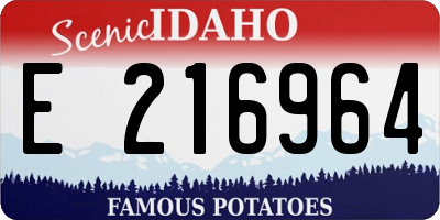 ID license plate E216964