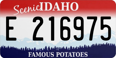 ID license plate E216975
