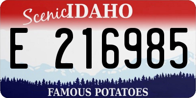 ID license plate E216985