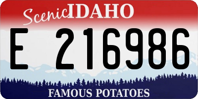 ID license plate E216986