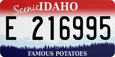 ID license plate E216995
