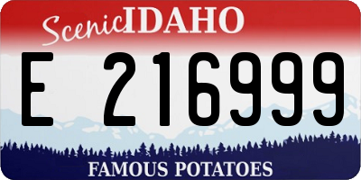 ID license plate E216999