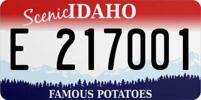 ID license plate E217001