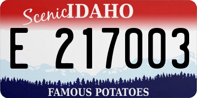 ID license plate E217003
