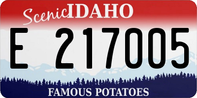 ID license plate E217005