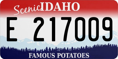 ID license plate E217009