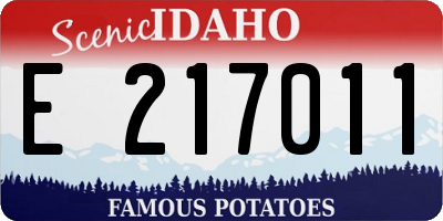ID license plate E217011