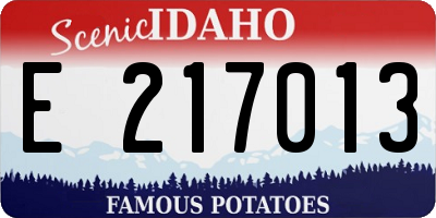 ID license plate E217013