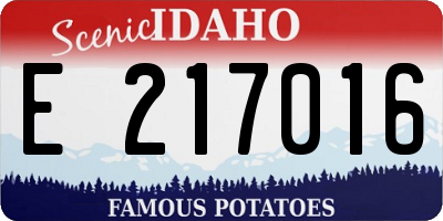ID license plate E217016