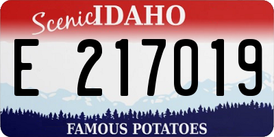 ID license plate E217019