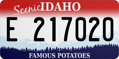 ID license plate E217020