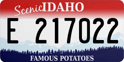 ID license plate E217022