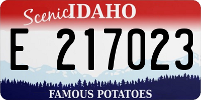 ID license plate E217023