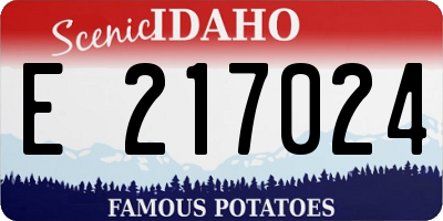 ID license plate E217024