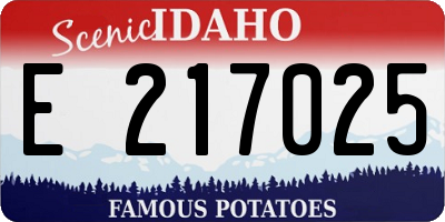 ID license plate E217025