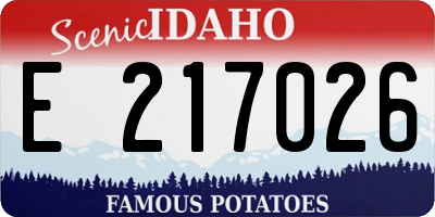 ID license plate E217026