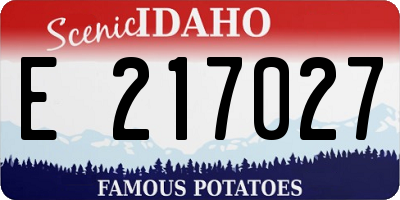 ID license plate E217027