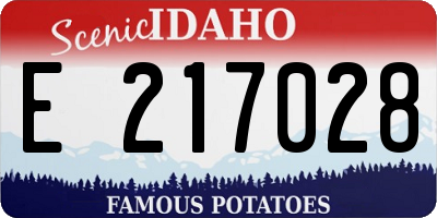 ID license plate E217028