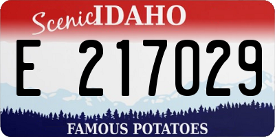 ID license plate E217029