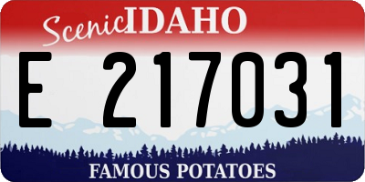ID license plate E217031