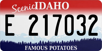 ID license plate E217032
