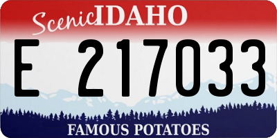 ID license plate E217033