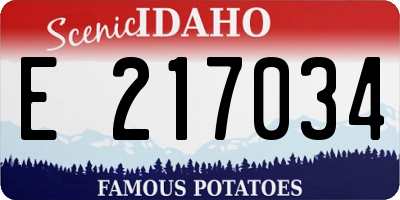 ID license plate E217034
