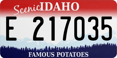 ID license plate E217035