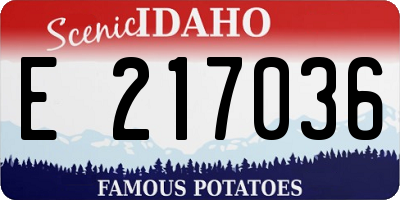 ID license plate E217036