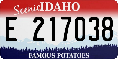 ID license plate E217038
