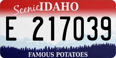 ID license plate E217039