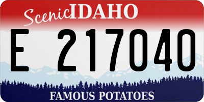 ID license plate E217040