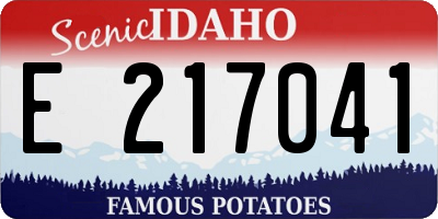 ID license plate E217041