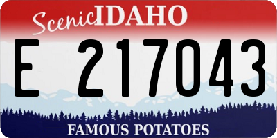 ID license plate E217043