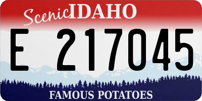 ID license plate E217045