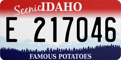 ID license plate E217046