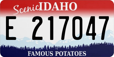 ID license plate E217047