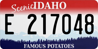 ID license plate E217048
