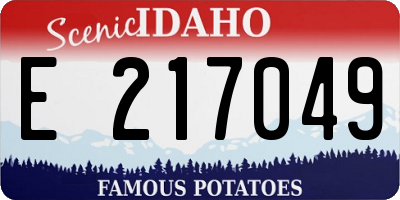 ID license plate E217049