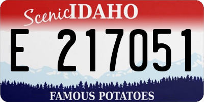 ID license plate E217051